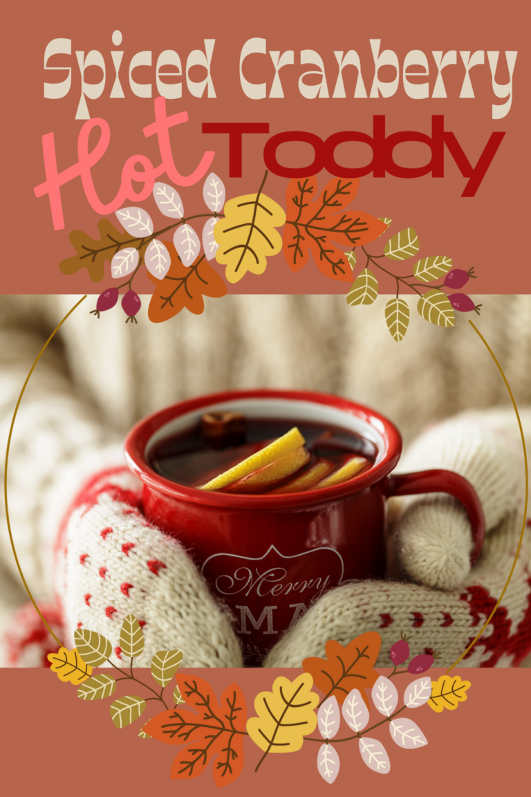 Spiced Cranberry Hot Toddy